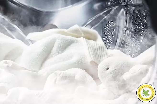 Steam™